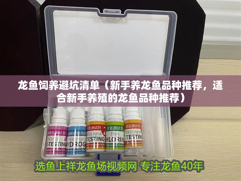龍魚飼養(yǎng)避坑清單（新手養(yǎng)龍魚品種推薦，適合新手養(yǎng)殖的龍魚品種推薦）