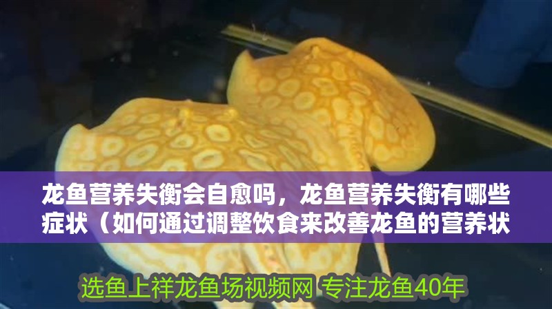 龍魚營養(yǎng)失衡會自愈嗎，龍魚營養(yǎng)失衡有哪些癥狀（如何通過調(diào)整飲食來改善龍魚的營養(yǎng)狀況）