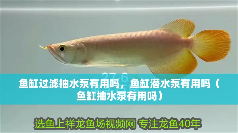 魚缸過濾抽水泵有用嗎，魚缸潛水泵有用嗎（魚缸抽水泵有用嗎）