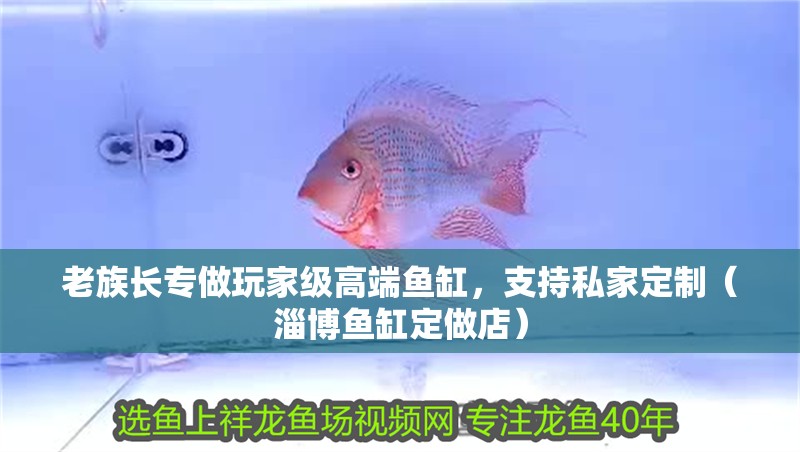 老族長專做玩家級高端魚缸，支持私家定制（淄博魚缸定做店）