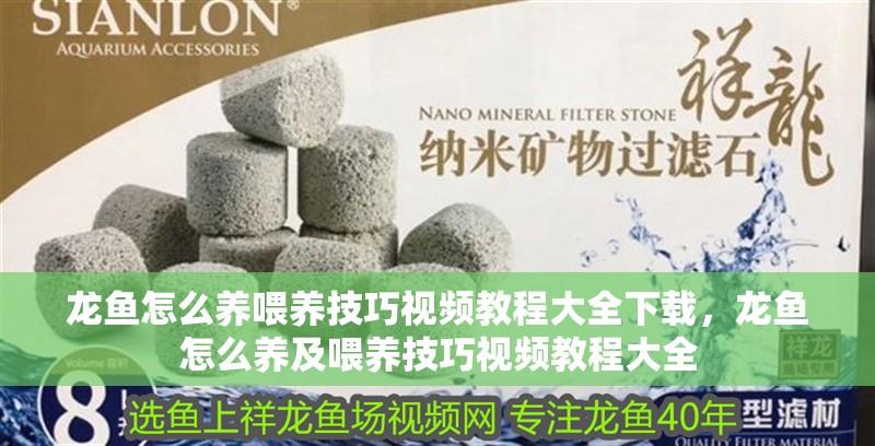 龍魚怎么養(yǎng)喂養(yǎng)技巧視頻教程大全下載，龍魚怎么養(yǎng)及喂養(yǎng)技巧視頻教程大全