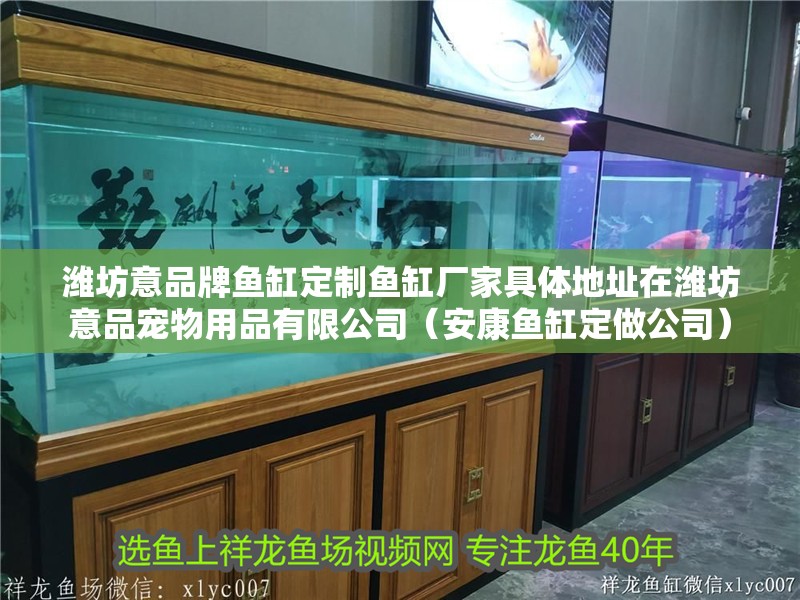 濰坊意品牌魚缸定制魚缸廠家具體地址在濰坊意品寵物用品有限公司（安康魚缸定做公司）