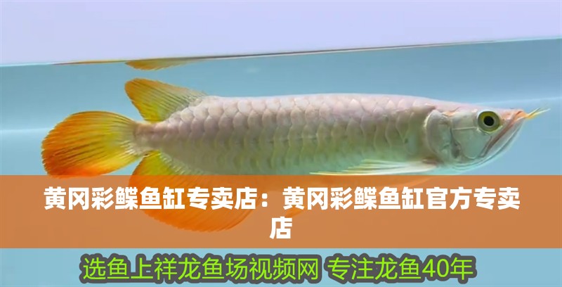 黃岡彩鰈魚缸專賣店：黃岡彩鰈魚缸官方專賣店