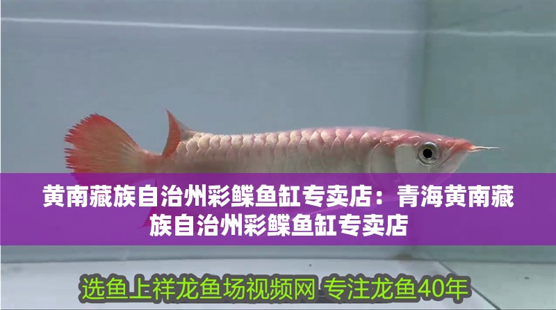 黃南藏族自治州彩鰈魚缸專賣店：青海黃南藏族自治州彩鰈魚缸專賣店