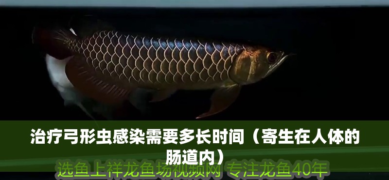 治療弓形蟲感染需要多長時間（寄生在人體的腸道內）