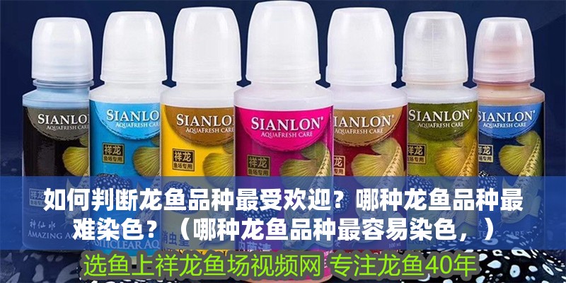 如何判斷龍魚品種最受歡迎？哪種龍魚品種最難染色？（哪種龍魚品種最容易染色，）