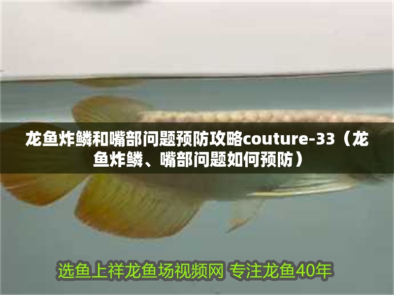 龍魚炸鱗和嘴部問題預防攻略couture-33（龍魚炸鱗、嘴部問題如何預防） 龍魚炸鱗和嘴部問題預防攻略couture-33（龍魚炸鱗、嘴部問題如何預防） 龍魚百科
