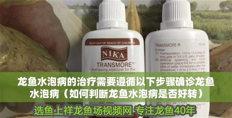 龍魚水泡病的治療需要遵循以下步驟確診龍魚水泡病（如何判斷龍魚水泡病是否好轉(zhuǎn)）