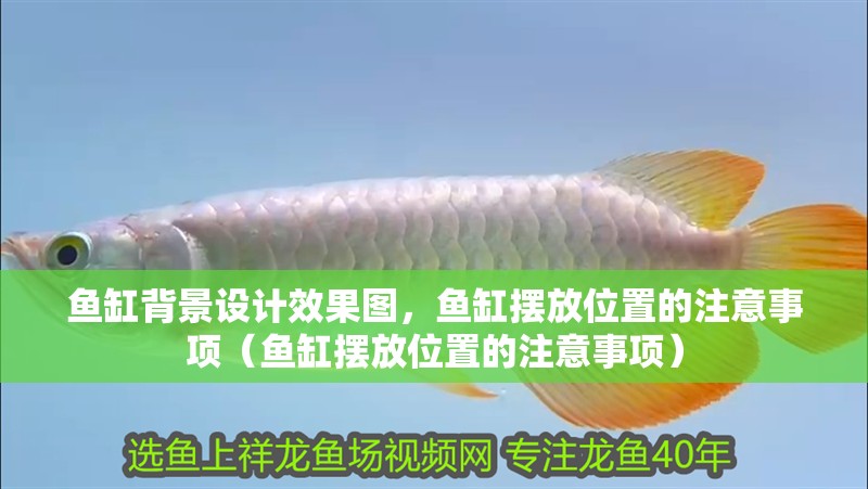 魚(yú)缸背景設(shè)計(jì)效果圖，魚(yú)缸擺放位置的注意事項(xiàng)（魚(yú)缸擺放位置的注意事項(xiàng)）
