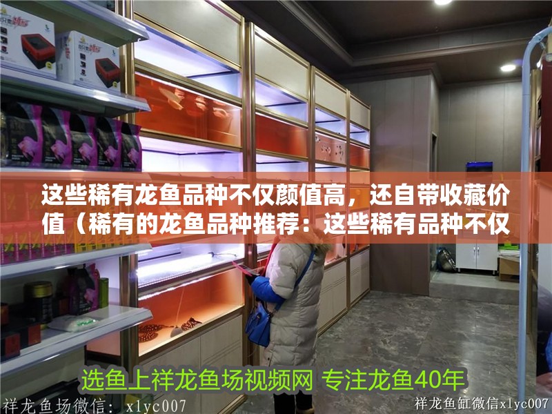 這些稀有龍魚品種不僅顏值高，還自帶收藏價值（稀有的龍魚品種推薦：這些稀有品種不僅顏值高）