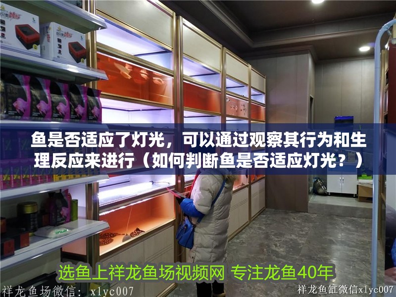 魚是否適應了燈光，可以通過觀察其行為和生理反應來進行（如何判斷魚是否適應燈光？）