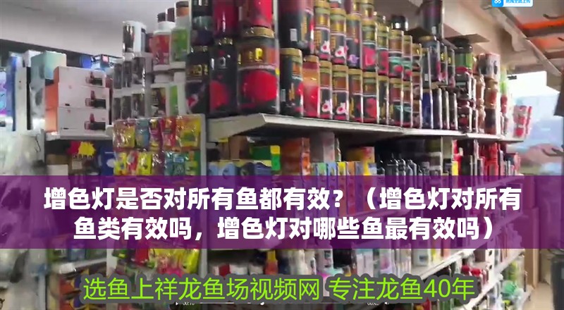 增色燈是否對所有魚都有效？（增色燈對所有魚類有效嗎，增色燈對哪些魚最有效嗎）