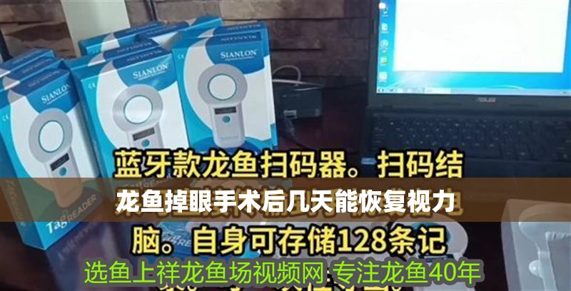 龍魚掉眼手術后幾天能恢復視力