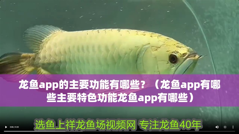 龍魚app的主要功能有哪些？（龍魚app有哪些主要特色功能龍魚app有哪些）