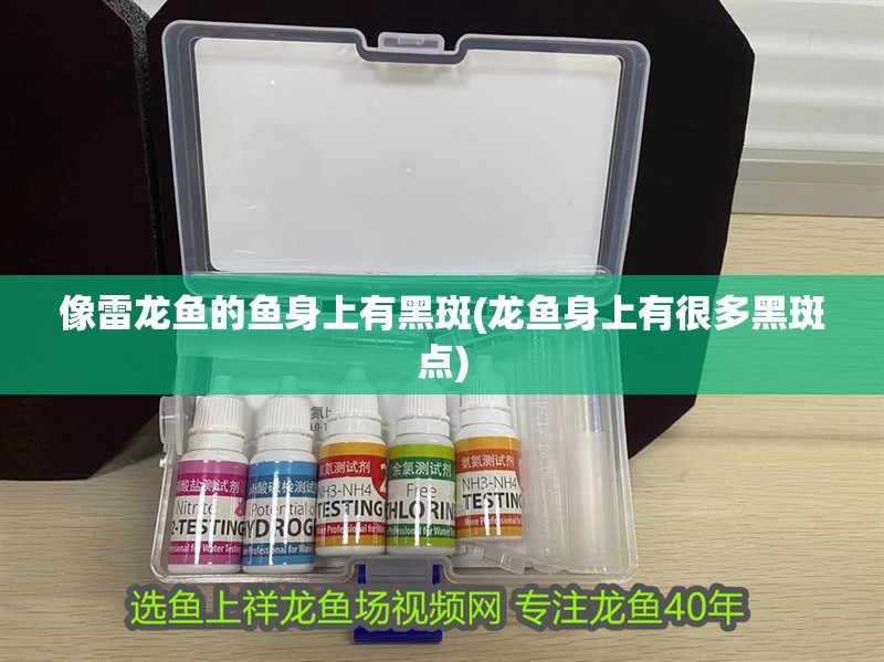 像雷龍魚的魚身上有黑斑(龍魚身上有很多黑斑點)