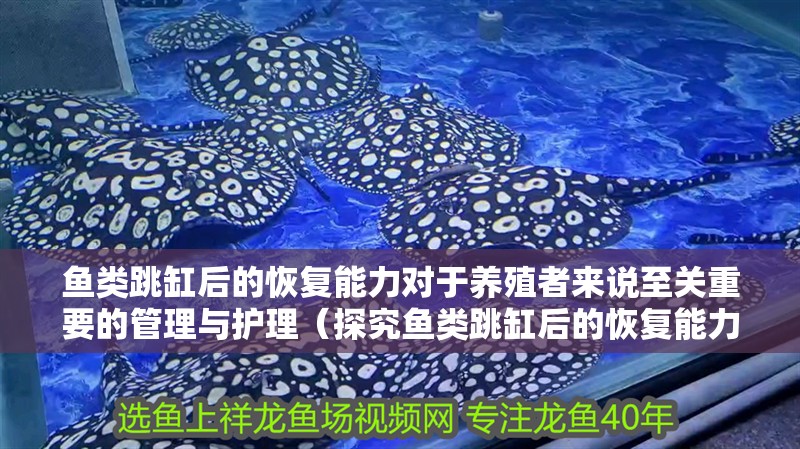 魚類跳缸后的恢復能力對于養殖者來說至關重要的管理與護理（探究魚類跳缸后的恢復能力）