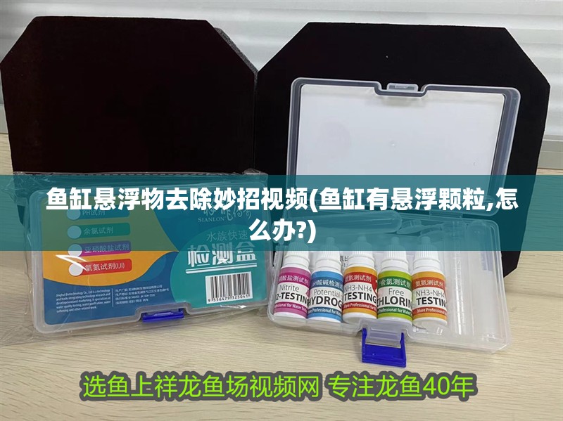 魚缸懸浮物去除妙招視頻(魚缸有懸浮顆粒,怎么辦?)