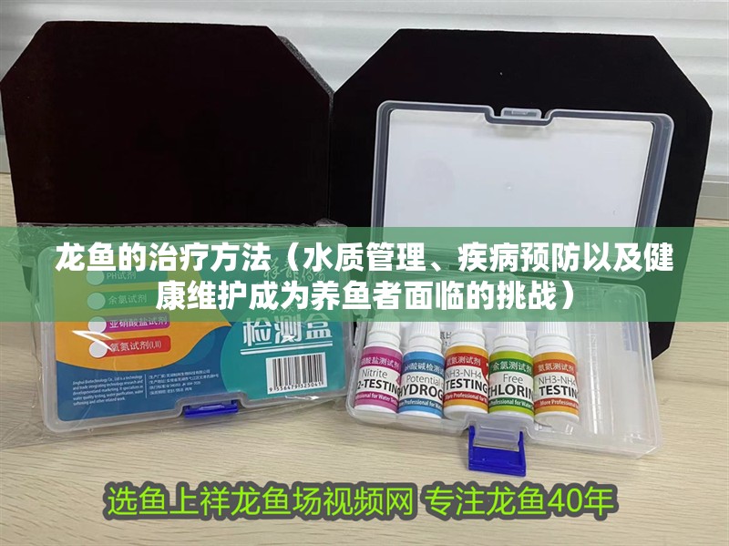 龍魚的治療方法（水質管理、疾病預防以及健康維護成為養魚者面臨的挑戰）
