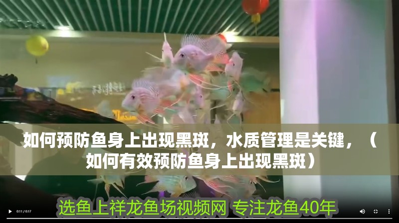 如何預防魚身上出現黑斑，水質管理是關鍵，（如何有效預防魚身上出現黑斑）