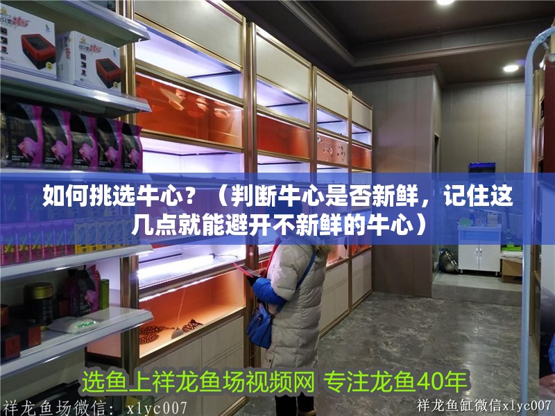 如何挑選牛心？（判斷牛心是否新鮮，記住這幾點就能避開不新鮮的牛心）