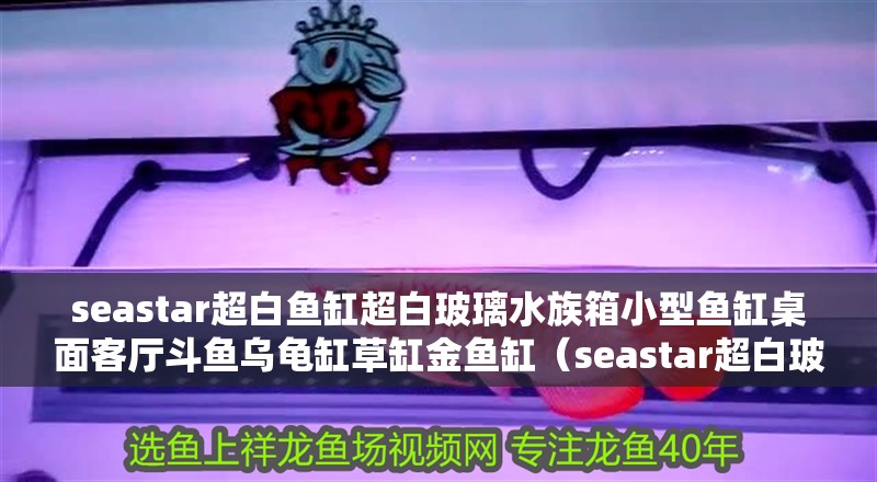 seastar超白魚缸超白玻璃水族箱小型魚缸桌面客廳斗魚烏龜缸草缸金魚缸（seastar超白玻璃水族箱）
