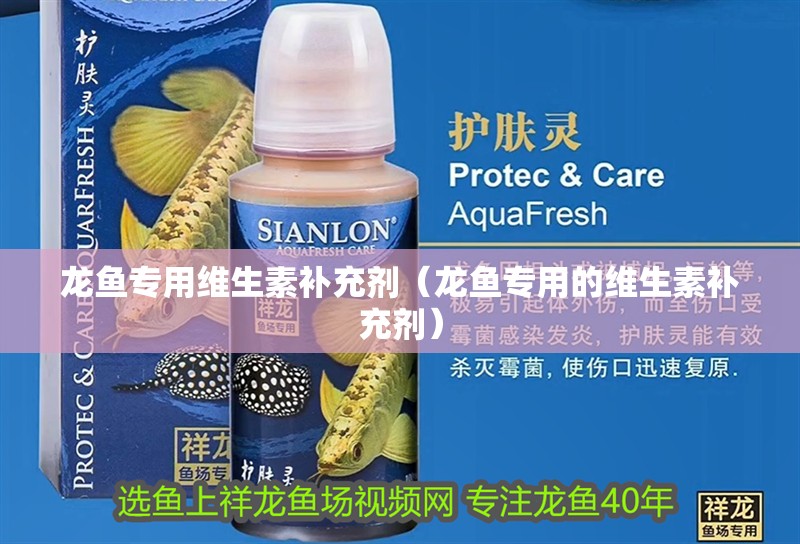 龍魚專用維生素補充劑（龍魚專用的維生素補充劑）