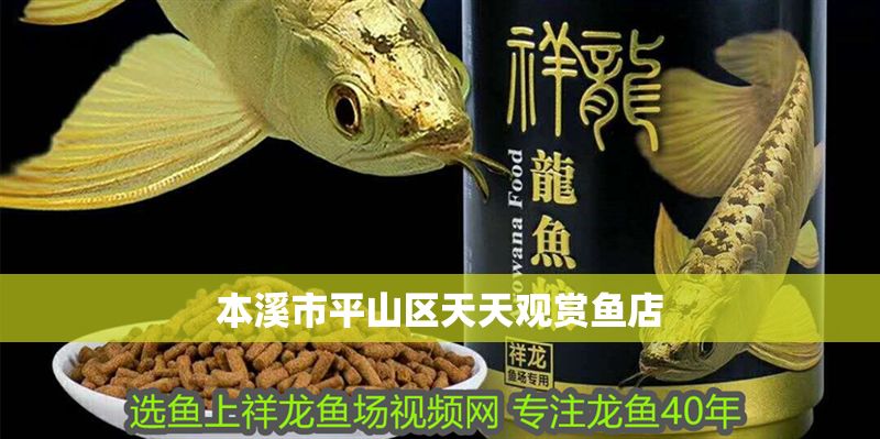 本溪市平山區天天觀賞魚店 全國水族館企業名錄 第1張 本溪市平山區天天觀賞魚店 本溪市平山區天天觀賞魚店 全國水族館企業名錄 第1張