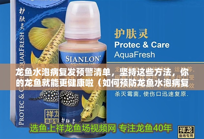 龍魚水泡病復發(fā)預警清單，堅持這些方法，你的龍魚就能更健康啦（如何預防龍魚水泡病復發(fā)）