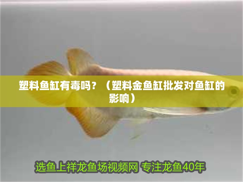 塑料魚缸有毒嗎？（塑料金魚缸批發對魚缸的影響）