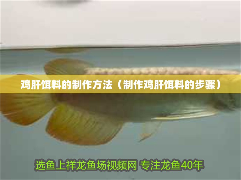 雞肝餌料的制作方法（制作雞肝餌料的步驟）