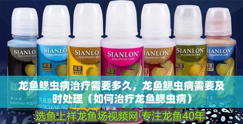 龍魚鰓蟲病治療需要多久，龍魚鰓蟲病需要及時(shí)處理（如何治療龍魚鰓蟲病）