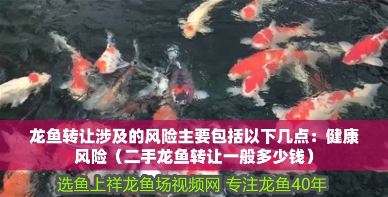 龍魚轉讓涉及的風險主要包括以下幾點：健康風險（二手龍魚轉讓一般多少錢）