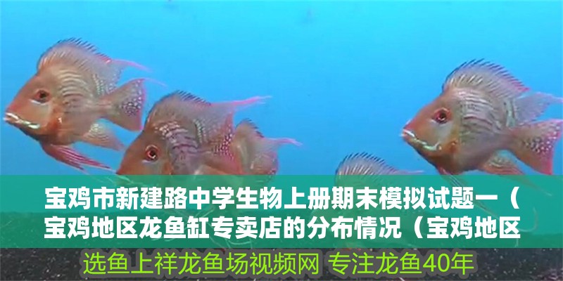 寶雞市新建路中學生物上冊期末模擬試題一（寶雞地區龍魚缸專賣店的分布情況（寶雞地區龍魚缸專賣店的分析））