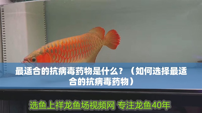 最適合的抗病毒藥物是什么？（如何選擇最適合的抗病毒藥物）