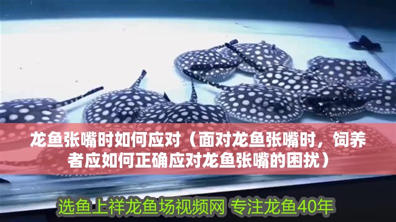 龍魚張嘴時如何應對（面對龍魚張嘴時，飼養者應如何正確應對龍魚張嘴的困擾）