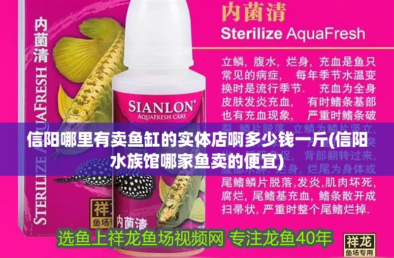 信陽哪里有賣魚缸的實體店啊多少錢一斤(信陽水族館哪家魚賣的便宜)