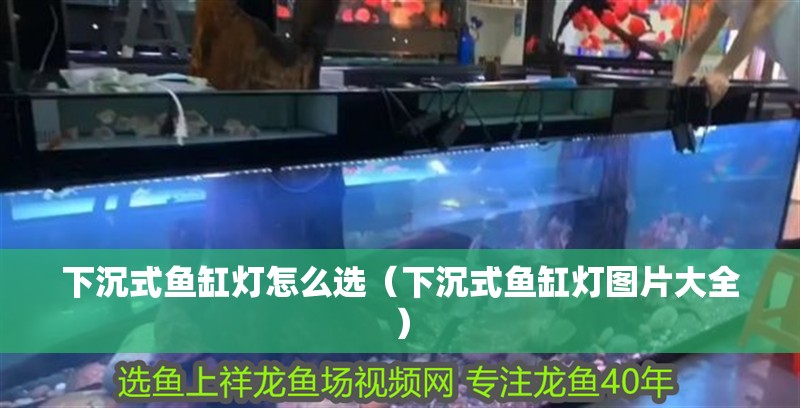 下沉式魚缸燈怎么選（下沉式魚缸燈圖片大全）