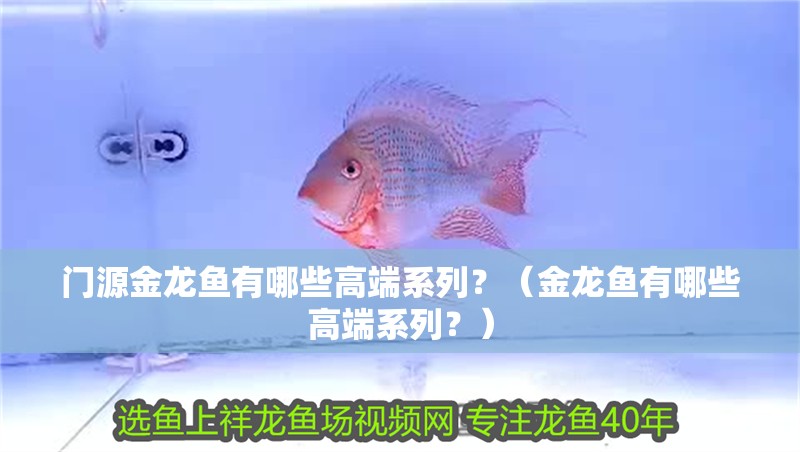 門源金龍魚有哪些高端系列？（金龍魚有哪些高端系列？）