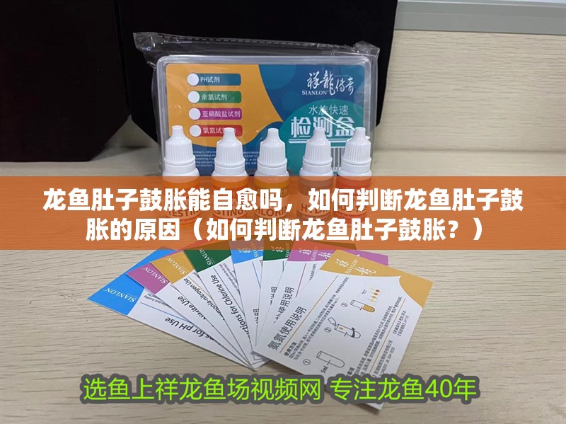 龍魚肚子鼓脹能自愈嗎，如何判斷龍魚肚子鼓脹的原因（如何判斷龍魚肚子鼓脹？）