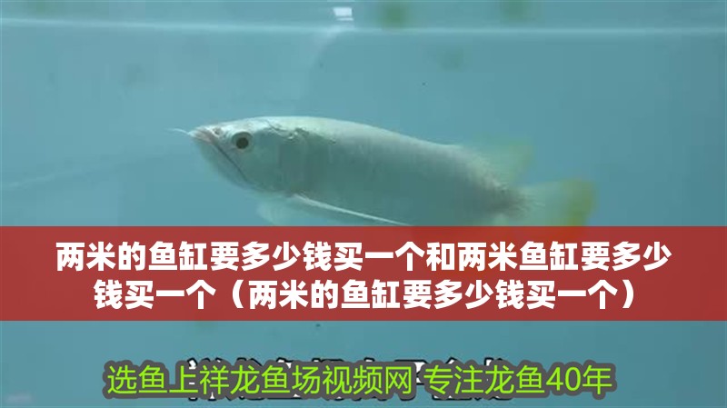 兩米的魚缸要多少錢買一個和兩米魚缸要多少錢買一個（兩米的魚缸要多少錢買一個）