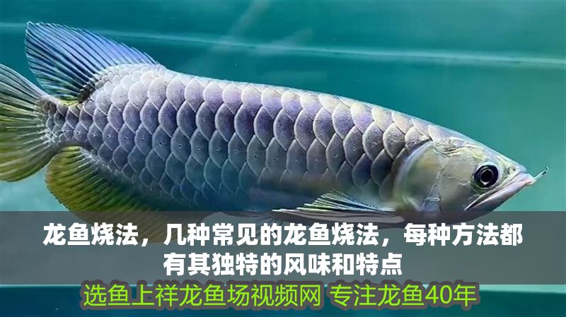 龍魚燒法，幾種常見的龍魚燒法，每種方法都有其獨特的風味和特點 龍魚燒法，幾種常見的龍魚燒法，每種方法都有其獨特的風味和特點 龍魚百科 第2張