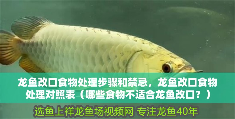 龍魚改口食物處理步驟和禁忌，龍魚改口食物處理對照表（哪些食物不適合龍魚改口？）