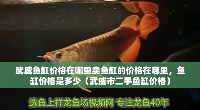 <strong><mark>武威</mark></strong>魚缸價格在哪里賣魚缸的價格在哪里，魚缸價格是多少（<strong><mark>武威</mark></strong>市二手魚缸價格）