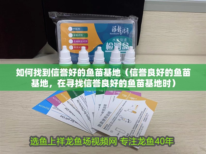 如何找到信譽好的魚苗基地（信譽良好的魚苗基地，在尋找信譽良好的魚苗基地時） 如何找到信譽好的魚苗基地（信譽良好的魚苗基地，在尋找信譽良好的魚苗基地時） 龍魚百科