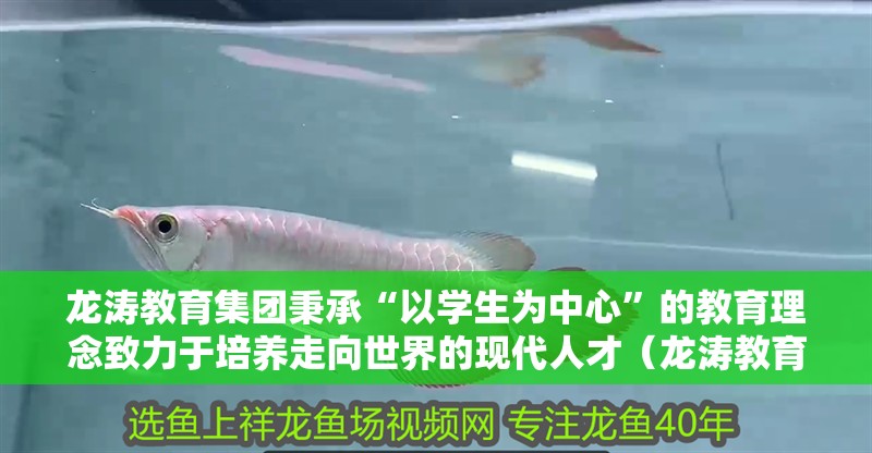 龍濤教育集團(tuán)秉承“以學(xué)生為中心”的教育理念致力于培養(yǎng)走向世界的現(xiàn)代人才（龍濤教育集團(tuán)有哪些分校？）