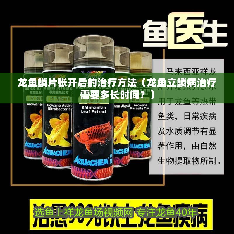 龍魚鱗片張開后的治療方法（龍魚立鱗病治療需要多長時(shí)間？）