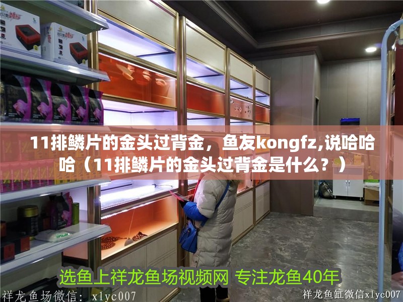 11排鱗片的金頭過背金，魚友kongfz,說哈哈哈（11排鱗片的金頭過背金是什么？）
