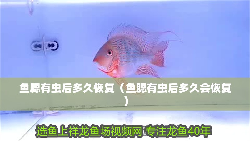 魚腮有蟲后多久恢復(fù)（魚腮有蟲后多久會(huì)恢復(fù)）