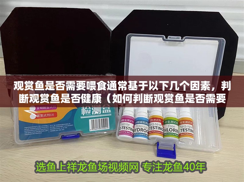 觀賞魚是否需要喂食通常基于以下幾個因素，判斷觀賞魚是否健康（如何判斷觀賞魚是否需要喂食）