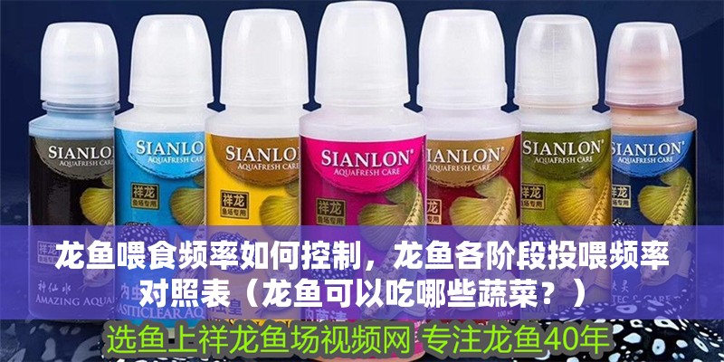 龍魚喂食頻率如何控制，龍魚各階段投喂頻率對照表（龍魚可以吃哪些蔬菜？）